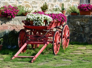 Bild 24364 von Haus Villa Franco